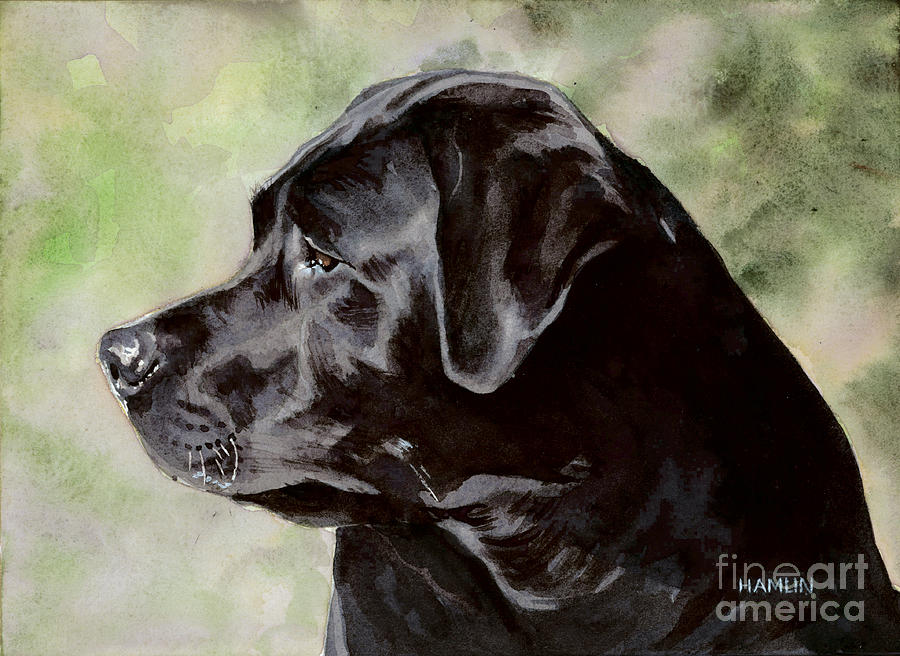 Black Labrador Retriever - Ollie Painting by Steve Hamlin