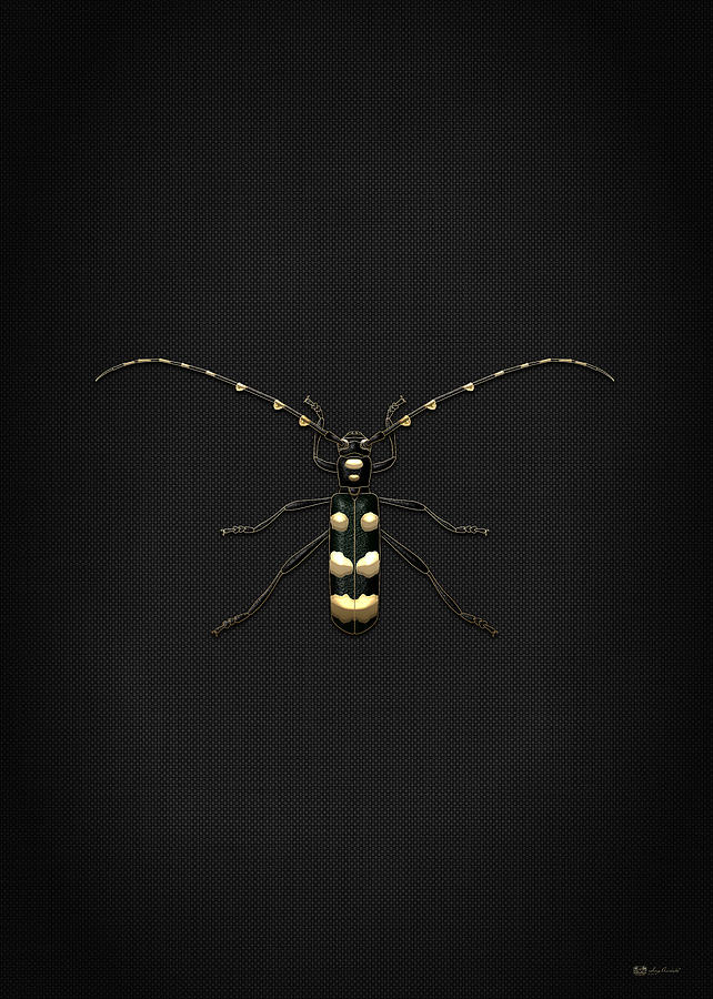 Black Longhorn Beetle with Gold Accents on Black Canvas Digital Art by Serge Averbukh