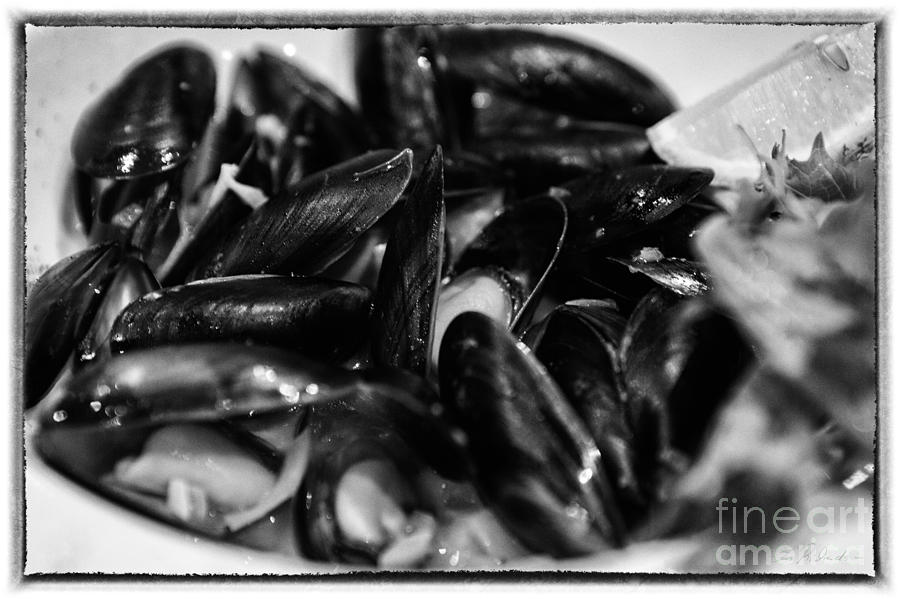 Black And White Photograph - Black Mussle Black and White by Iris Richardson
