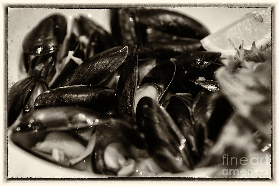 Scotland Photograph - Black Mussle Sepia Tone by Iris Richardson