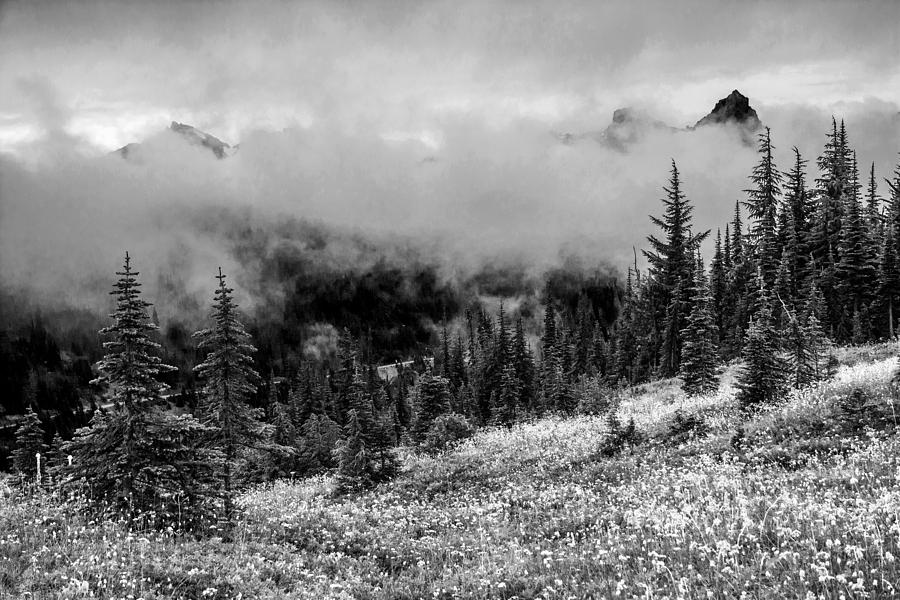 Flower Photograph - Black n White View From Mt Rainier by Randall Branham