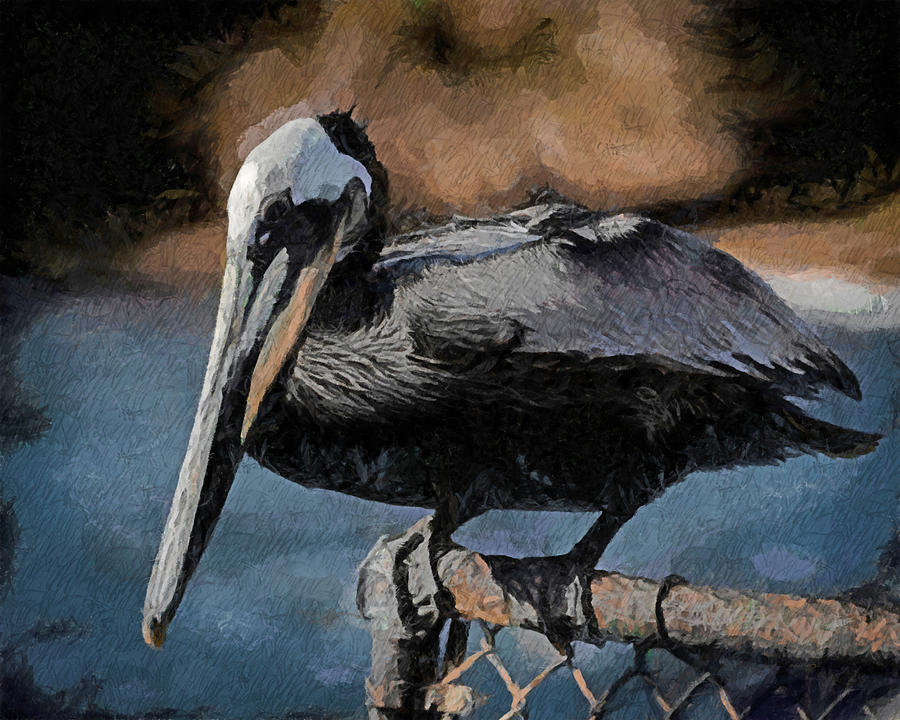 Black Pelican Portrait 2 Digital Art by Ernest Echols