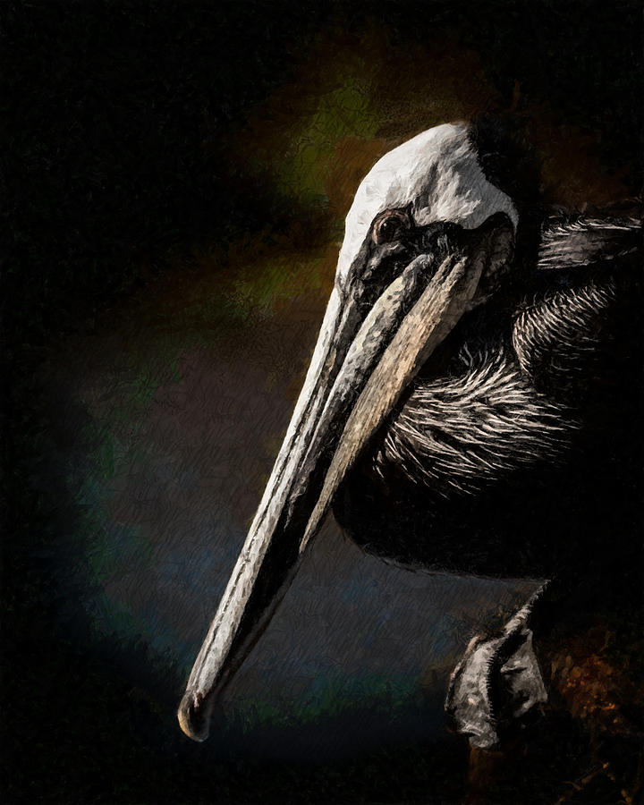 Black Pelican Portrait Digital Art by Ernest Echols