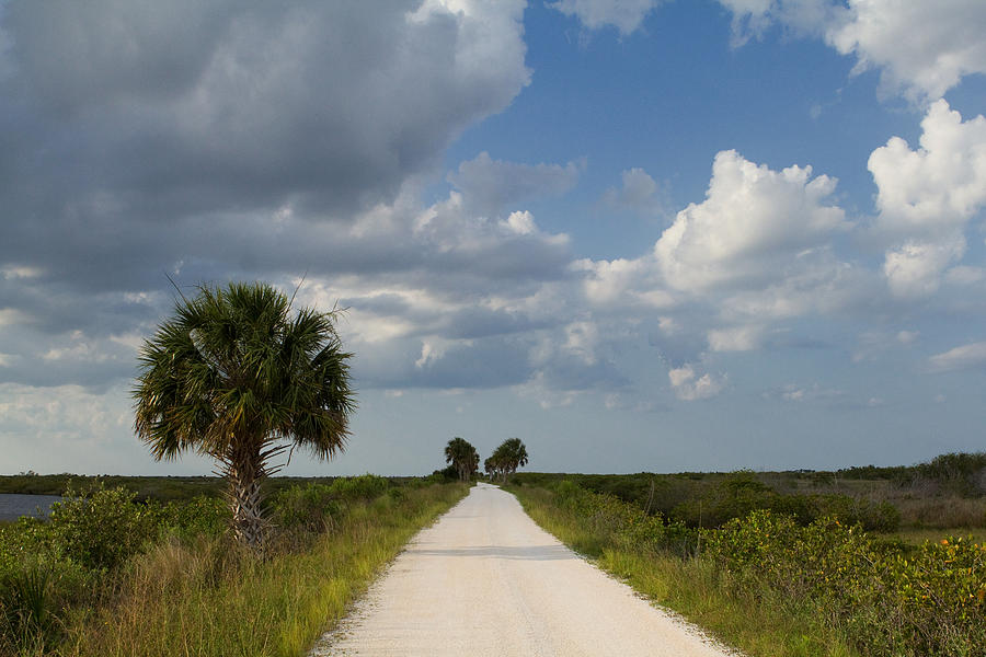 Black Point Wildlife Drive Photograph by Stephanie McDowell - Fine Art ...