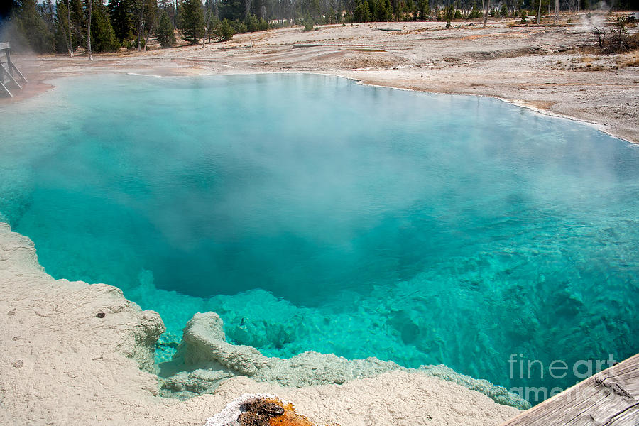 Black Pool in West Thumb Geyser Basin in Yellowstone National Park Photograph by Fred Stearns