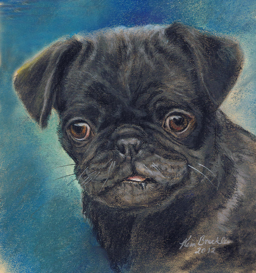 Pug Pastel - Black Pug by Kim Brecklein