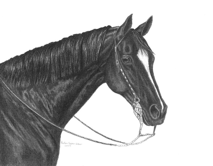 Black Quarter Horse Drawing by Rulan Capper-Starr