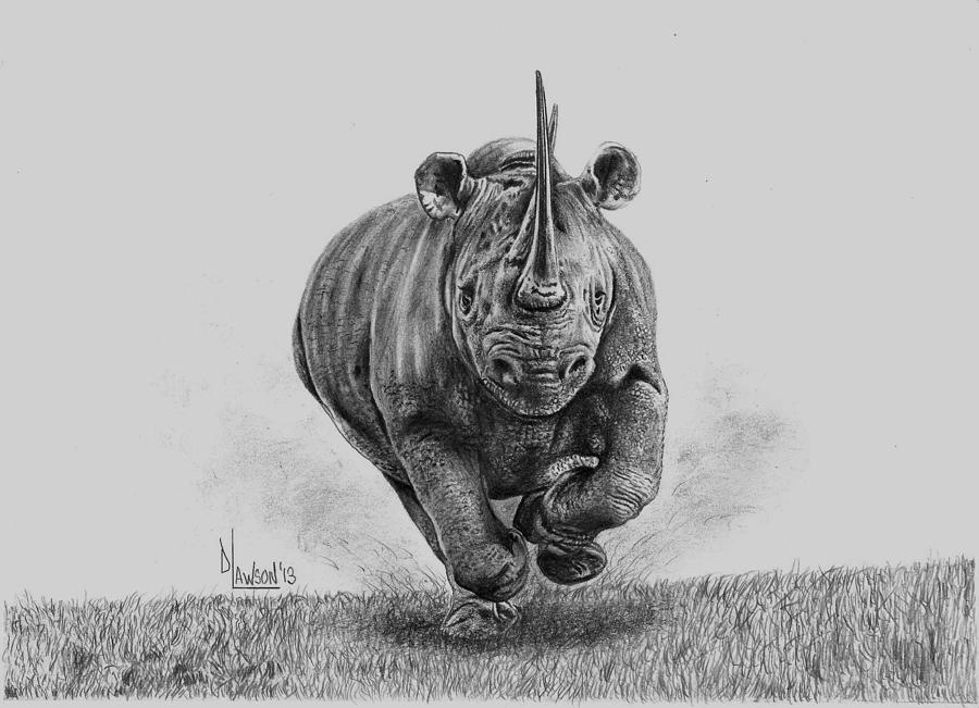Black Rhino Drawing by Dave Lawson
