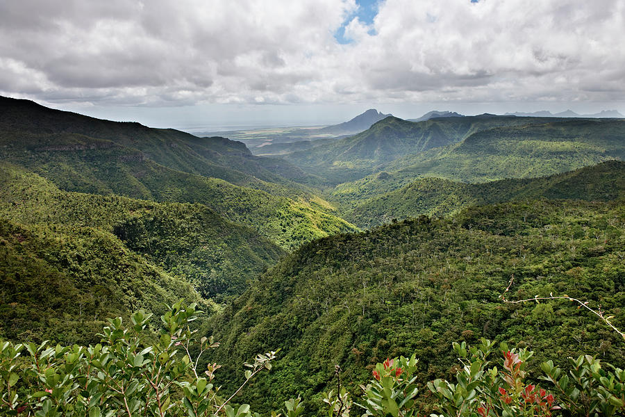 Black River Gorges National Park Photograph by Juergen Ritterbach