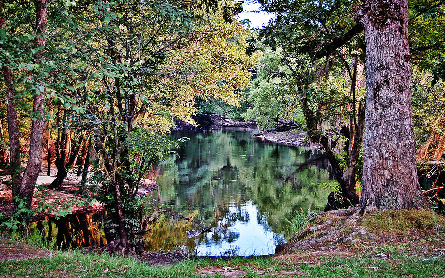 Black River Reflections Photograph by Linda Brown