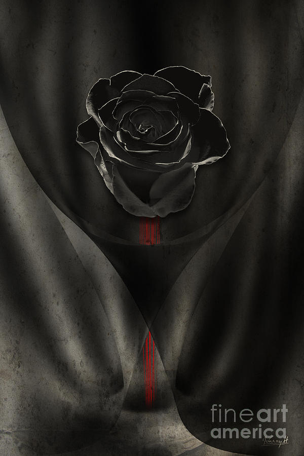 Black rose in dark Digital Art by Johnny Hildingsson