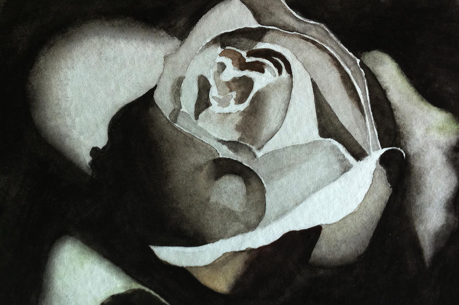 Flowers Still Life Painting - Black Rose by Ria Sharon