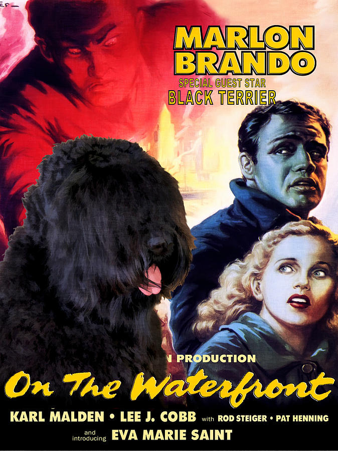 Dog Painting - Black Russian Terrier Art Canvas Print - On The Waterfront Movie Poster by Sandra Sij