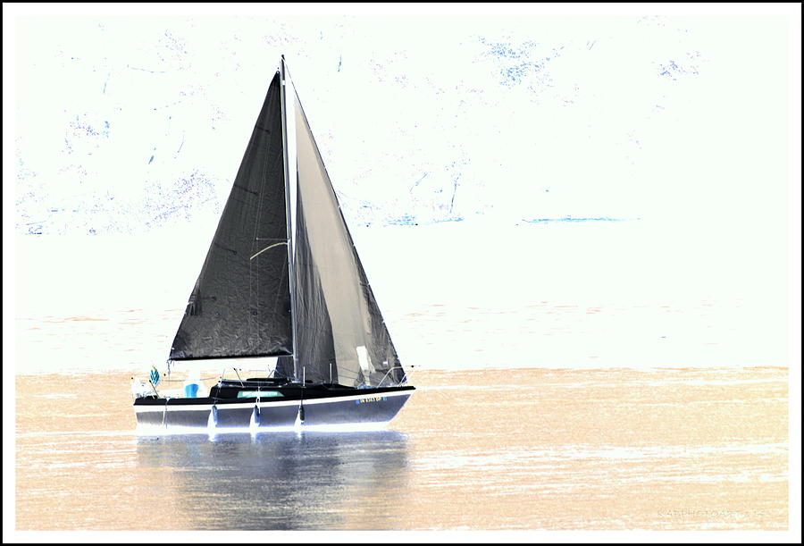 Grey Sails Photograph by Kathy Barney
