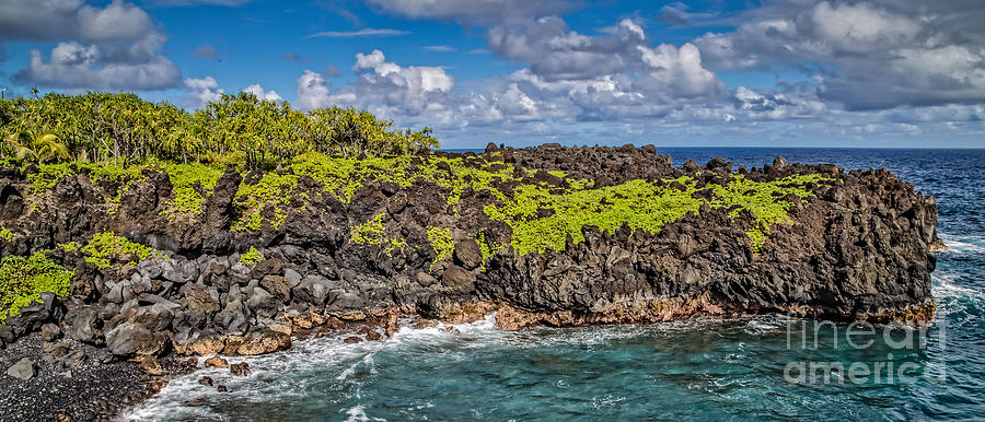Black Sand Beach Maui Hawaii Photograph by Edward Fielding
