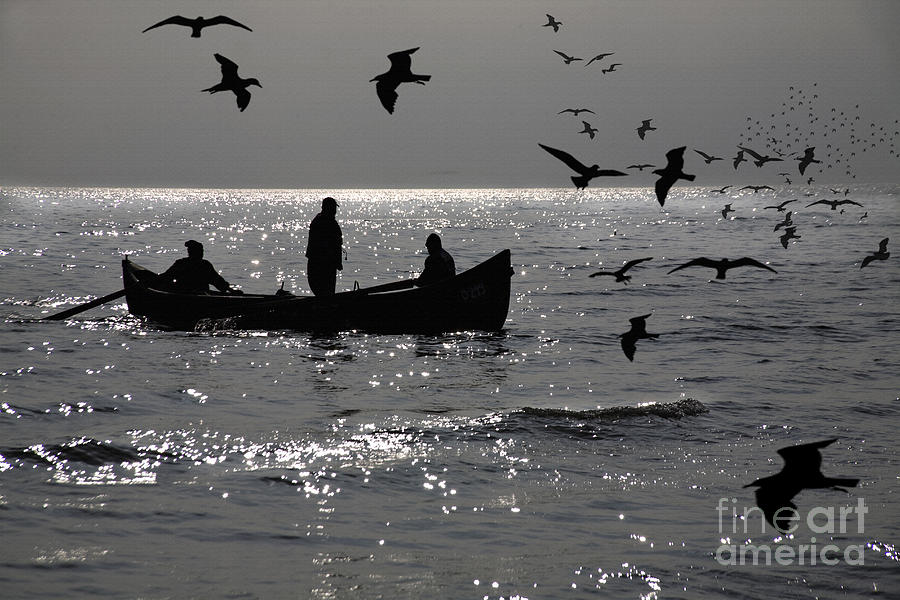 Black Sea Coast and Birds flying Photograph by Daliana Pacuraru