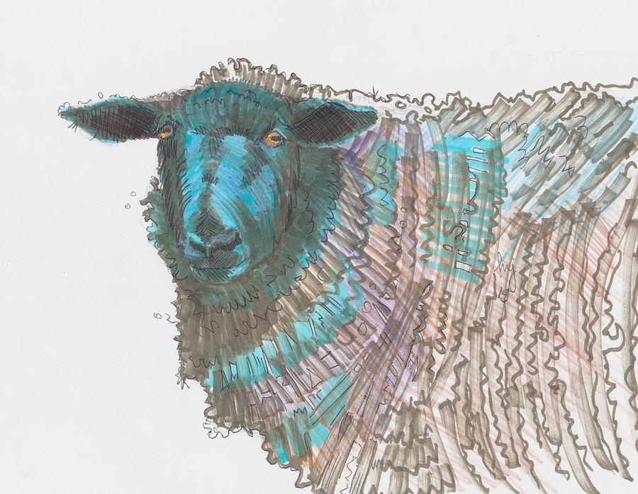 Black Sheep Drawing by Mike Jory