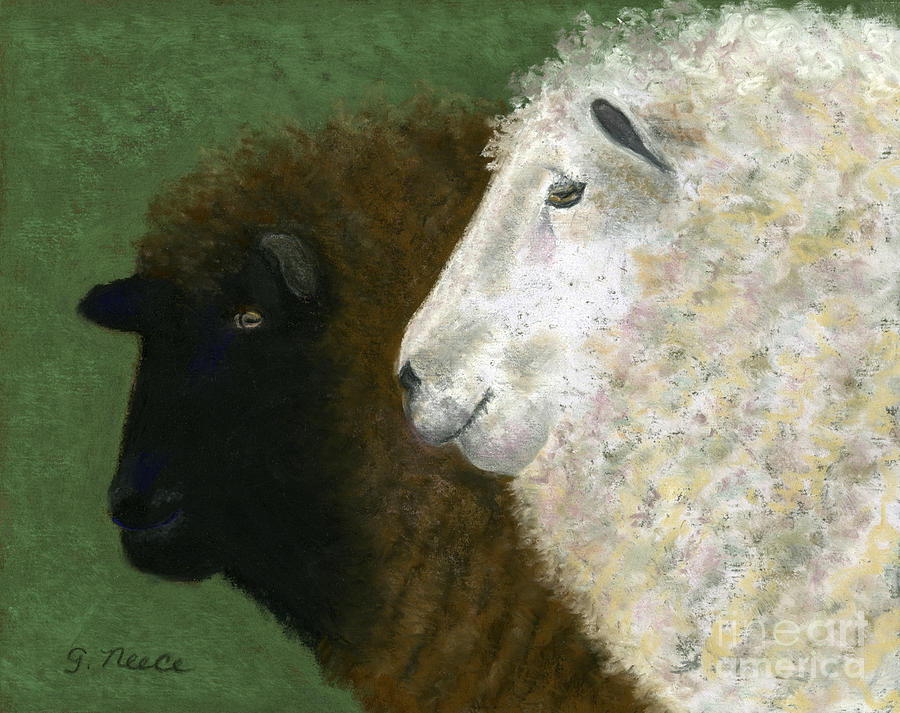 Black Sheep White Sheep Pastel by Ginny Neece
