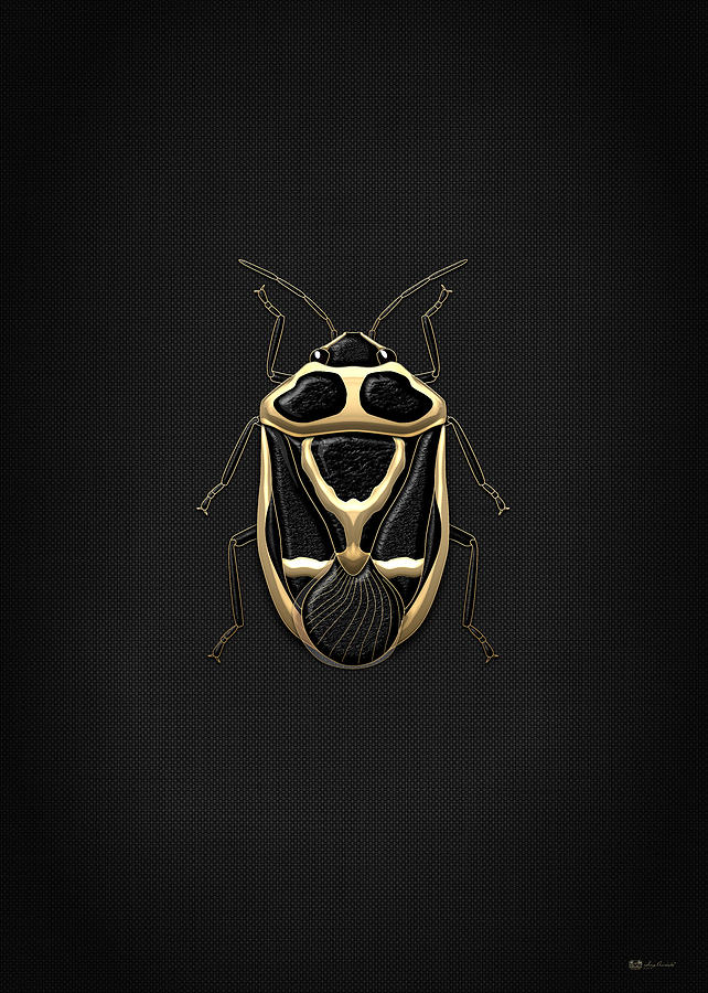 Black Shieldbug with Gold Accents on Black Canvas Digital Art by Serge Averbukh