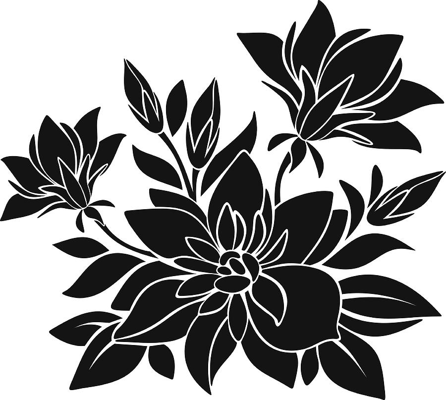 Black Silhouette Of Flowers. Vector Illustration. by Naddiya