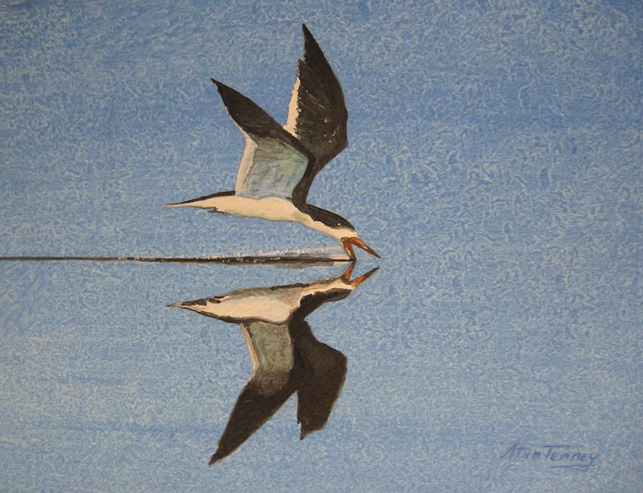 Black Skimmer Painting by Stan Tenney