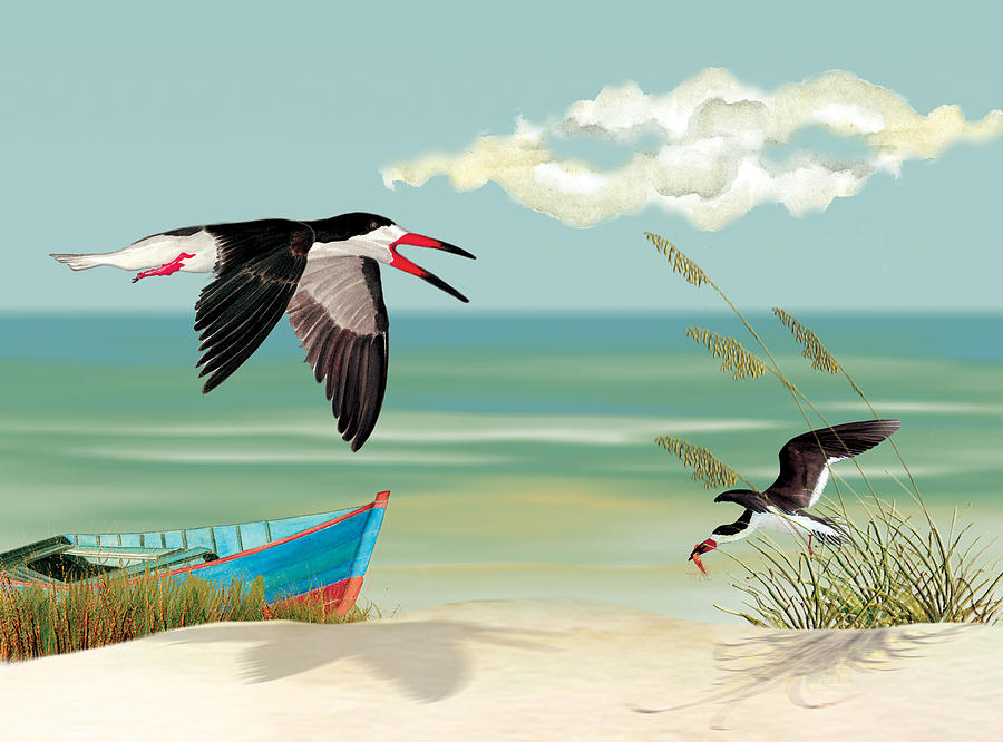 Black Skimmers Fishing Painting by Anne Beverley-Stamps