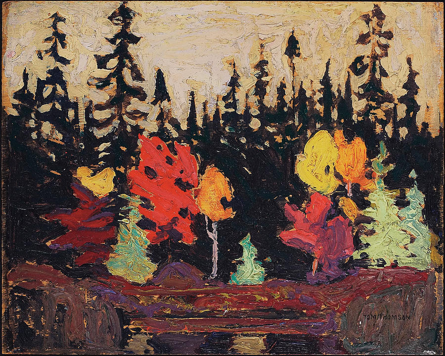 Tree Painting - Black Spruce and Maple by Tom Thomson