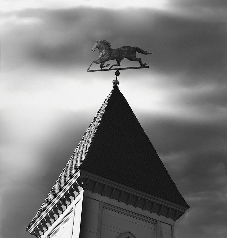 Architecture Photograph - Black Stallion Weathervane by Larry Butterworth