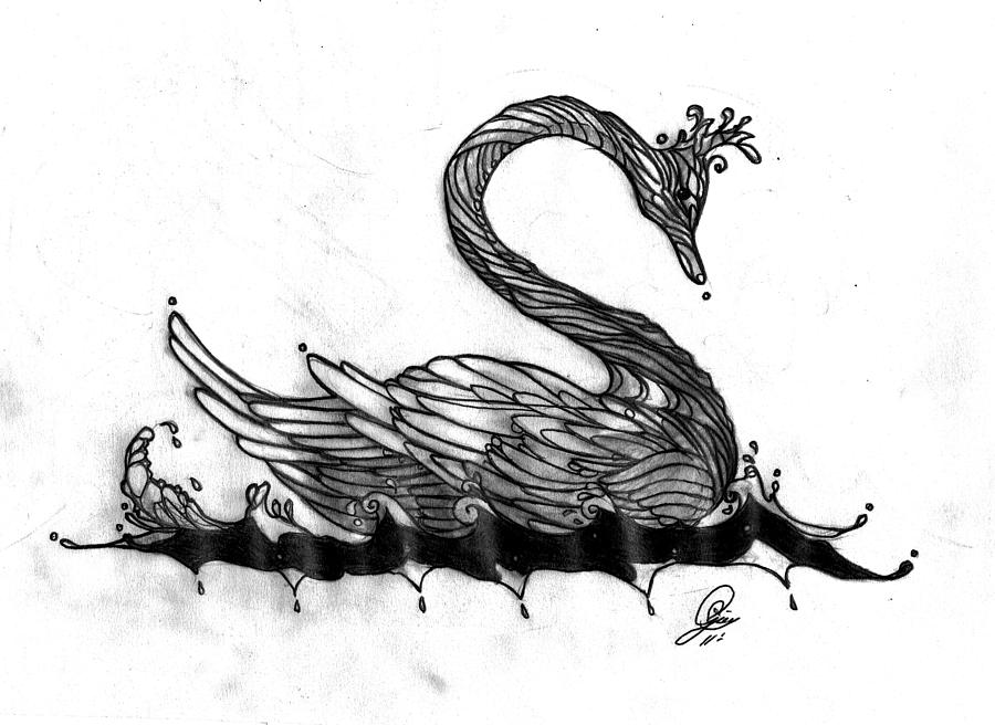 Black Swan Drawing