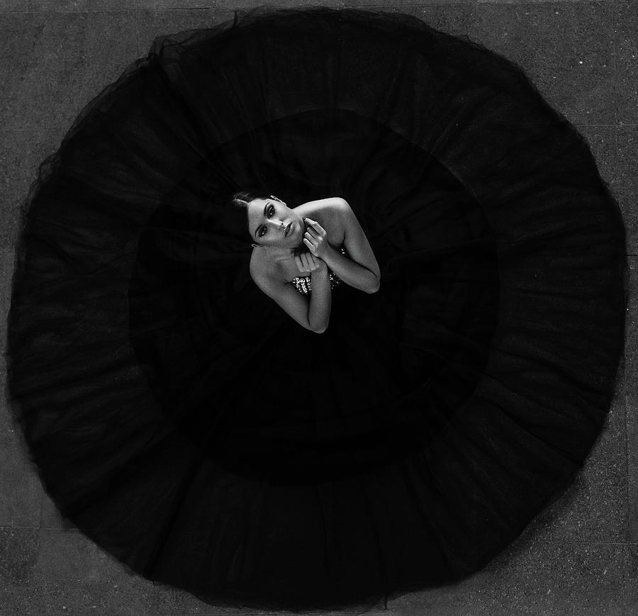 Black And White Photograph - Black Swan by Martin Krystynek Qep