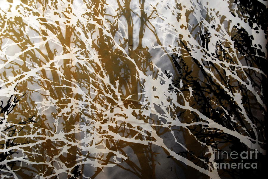 Forest Abstracts - Black Tan Cream 2 of 10 Photograph by Jacqueline M Lewis