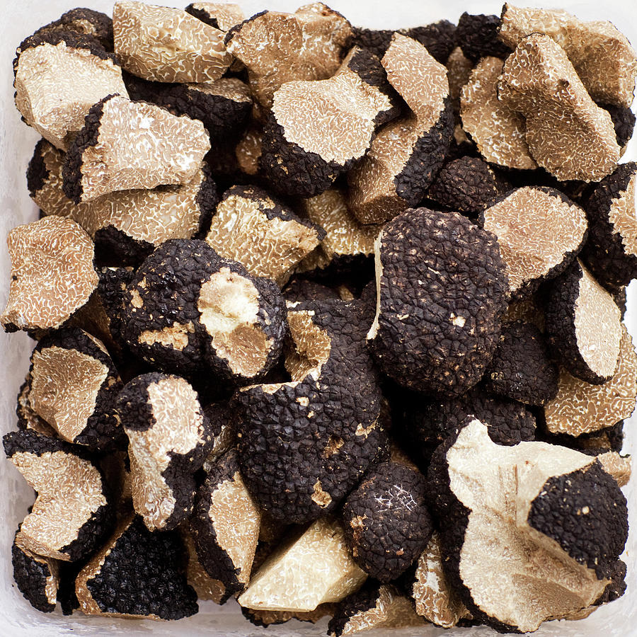 Black Truffles On White Background Photograph by Johner Images