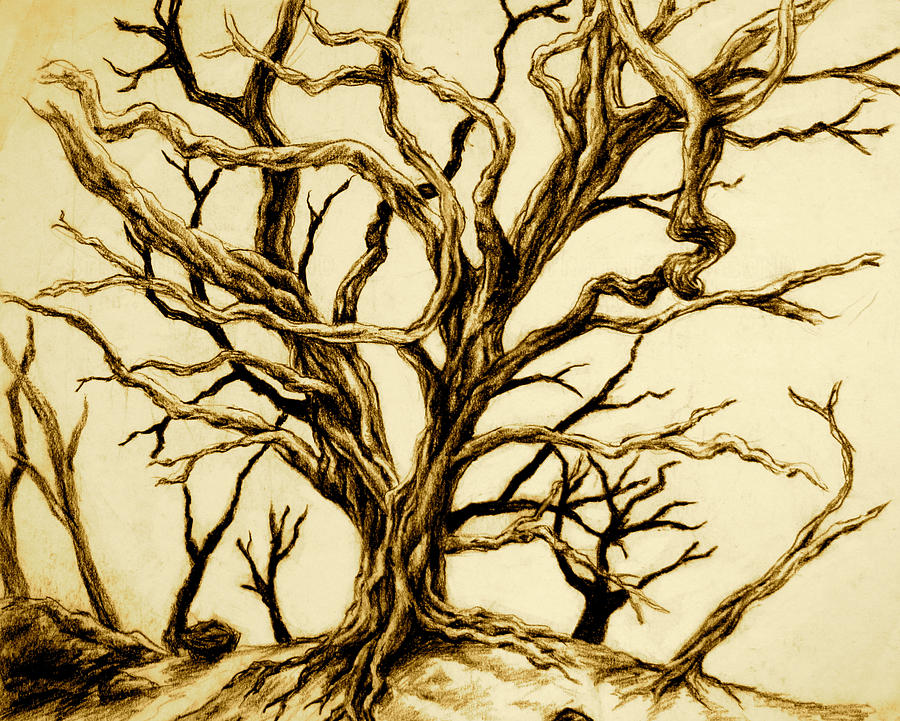 Black Twisted Branches Drawing by Mark Kopitzke