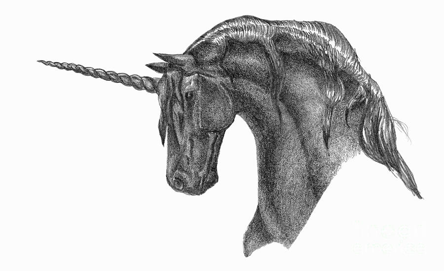 black unicorn drawings