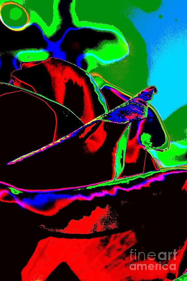 Rose Digital Art - Black Velvet by Lorles Lifestyles Rose Digital Art - Black Velvet by Lorles Lifestyles