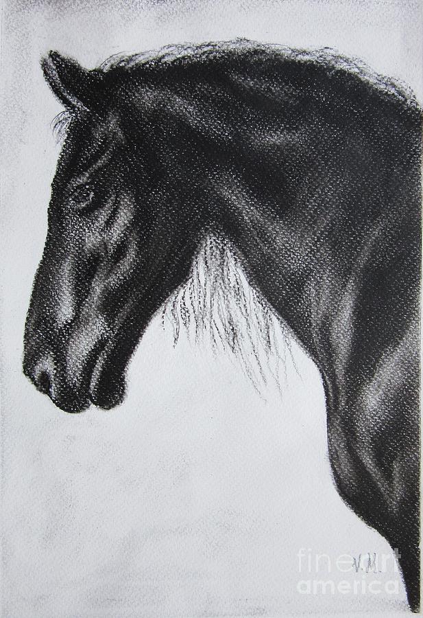 Horse Pastel - Black by Vesna Martinjak