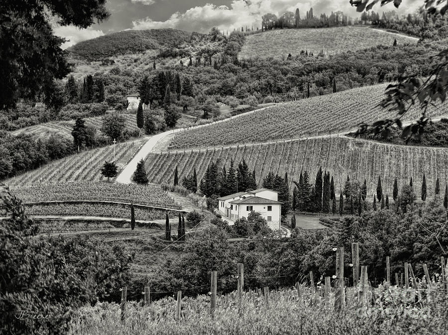 Black White Tuscan Countryside Photograph by Jennie Breeze