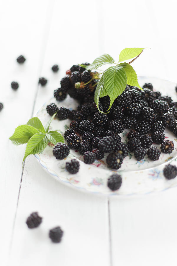 Blackberries Photograph by Alena Kogotkova