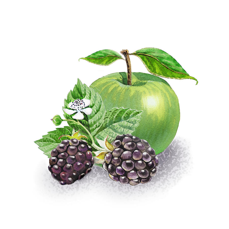 Blackberries And Green Apple Painting by Irina Sztukowski