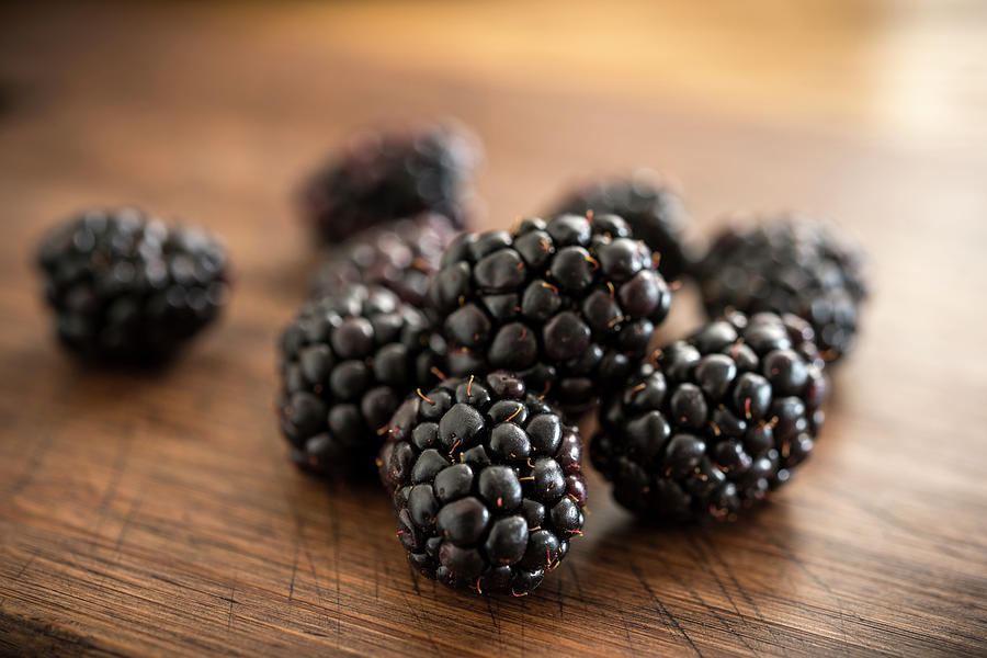 Blackberries Photograph by J Shepherd