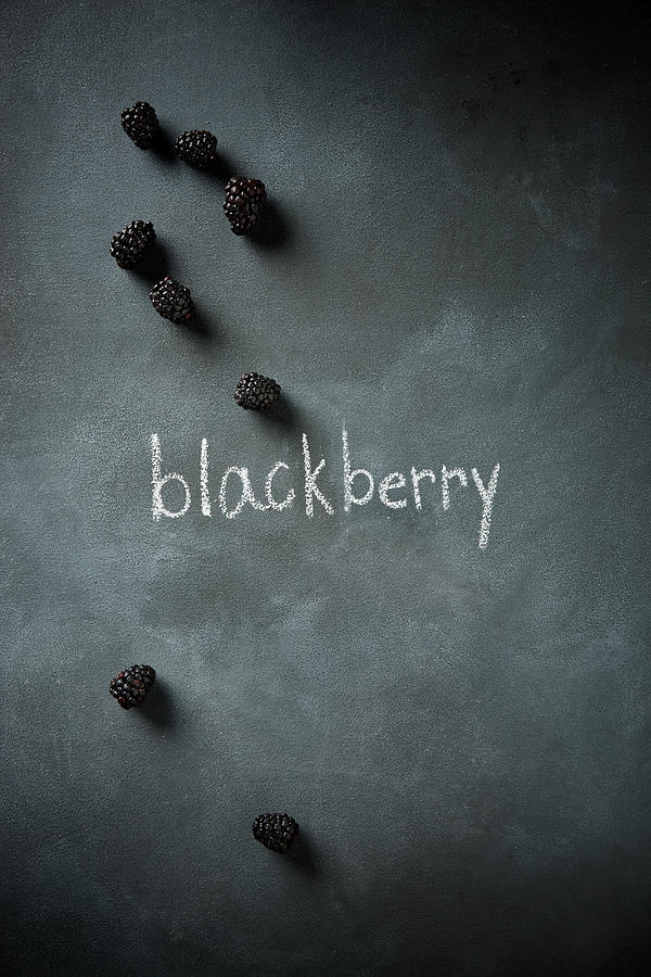 Blackberries Photograph by Lew Robertson