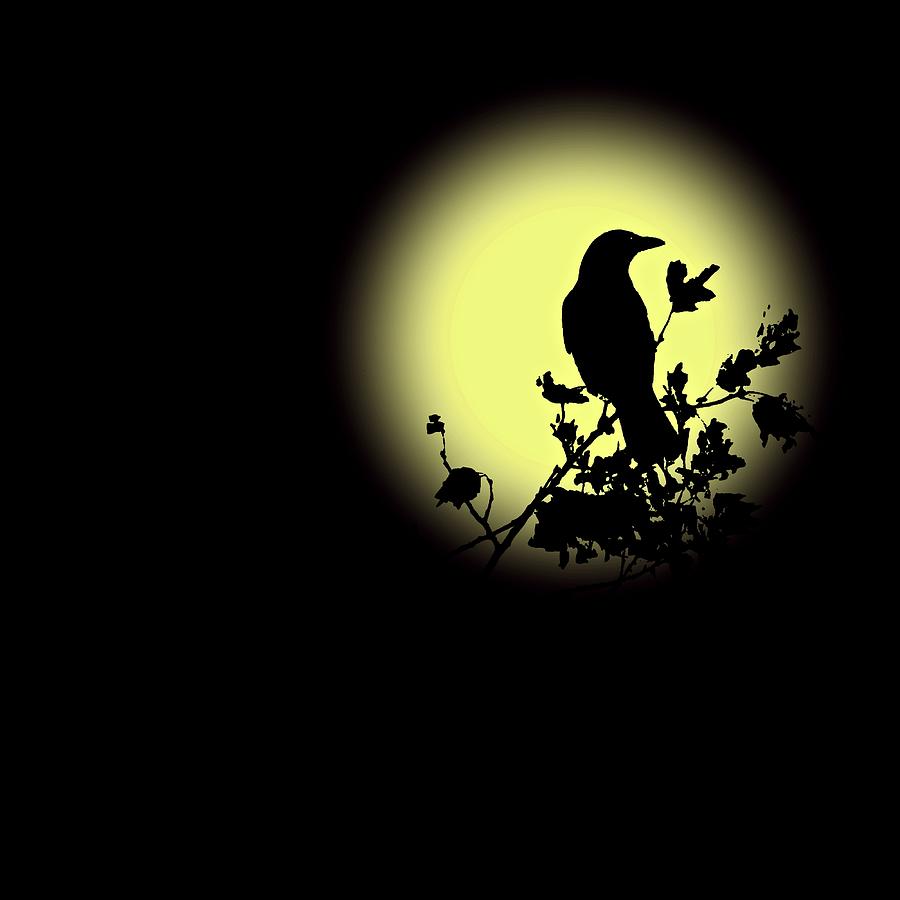 Blackbird in Silhouette II Photograph by David Dehner