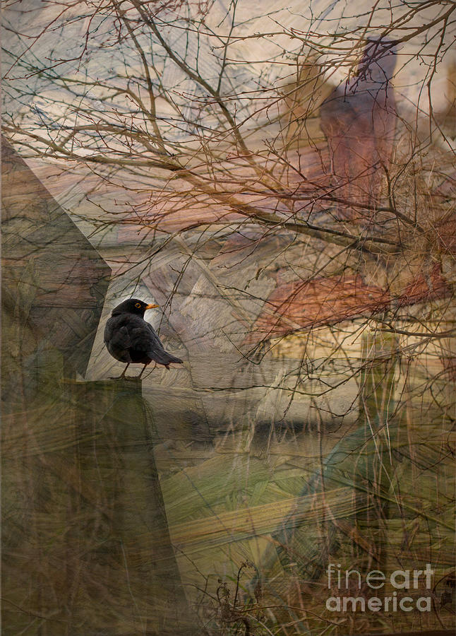 Blackbird Digital Art - Blackbird by Liz  Alderdice