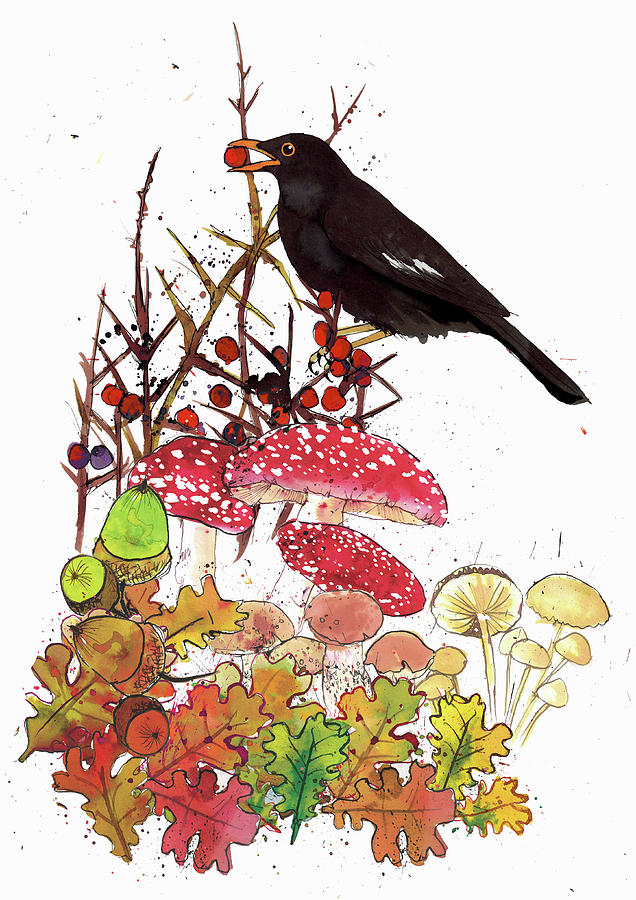 Blackbird With Red Berry, Acorns Photograph by Ikon Ikon Images