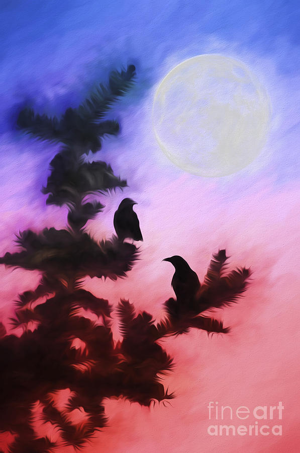 Blackbird Photograph - Blackbirds of the Night by Darren Fisher
