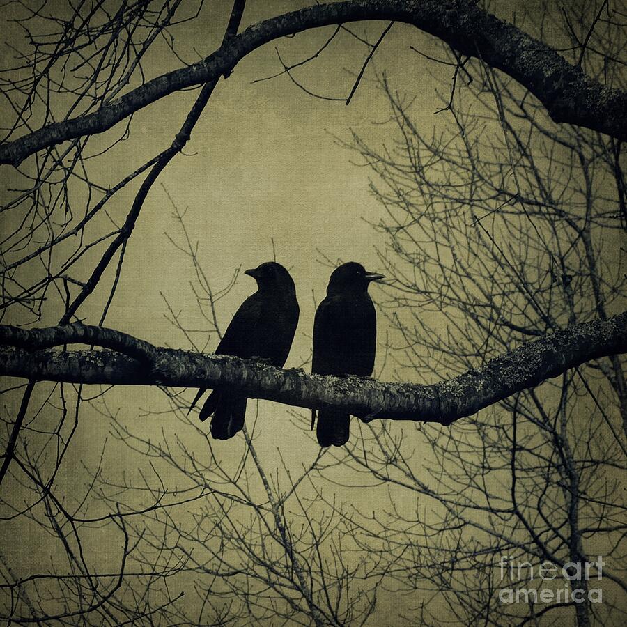 Blackbirds on a Branch Photograph by Patricia Strand