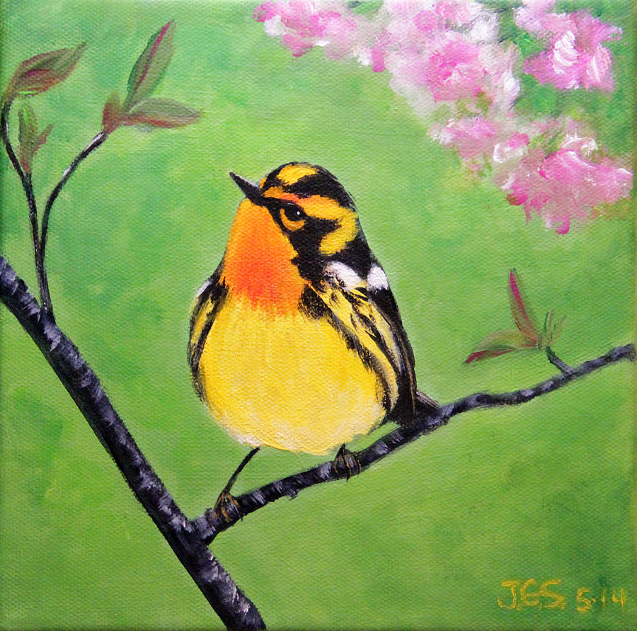 Blackburnian Warbler in the Cherry Trees Painting by Janet Greer Sammons