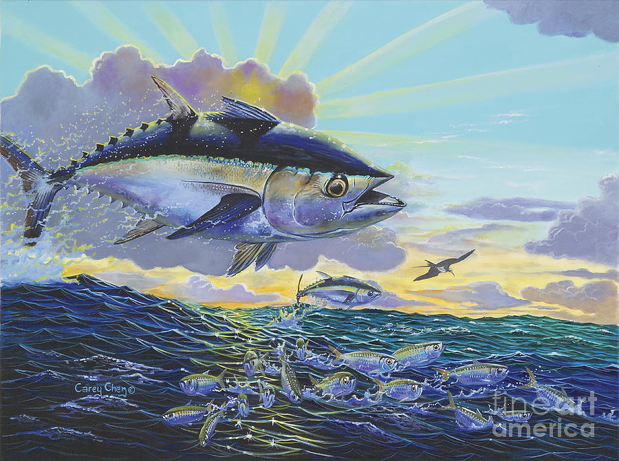 Blackfin Bust Off00116 Painting by Carey Chen
