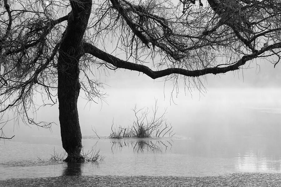 Blackman Lake  Photograph by Sonya Lang