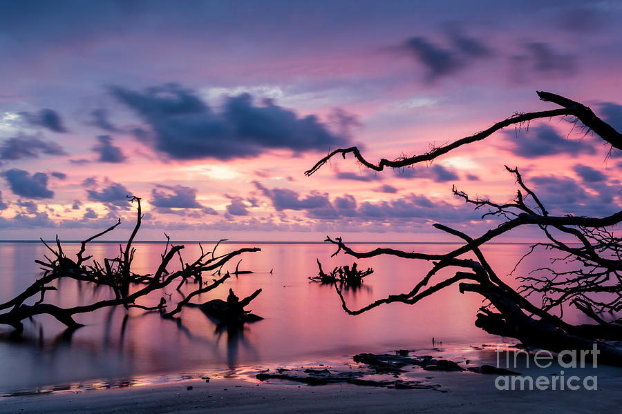 Blackrock Beach Sunrise Photograph by Dawna Moore Photography